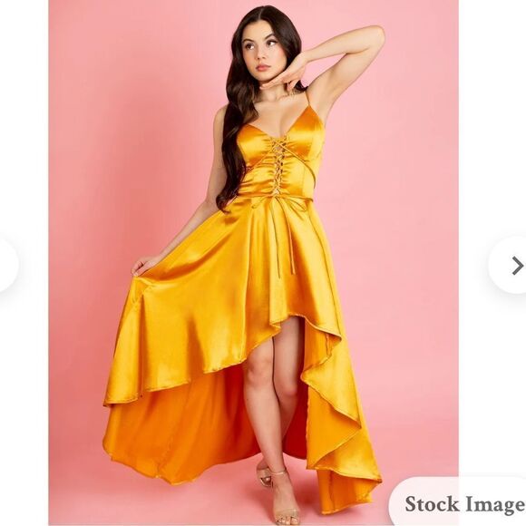 JOYFOLIE SHELLY DRESS IN MUSTARD NET XL - Picture 1 of 6